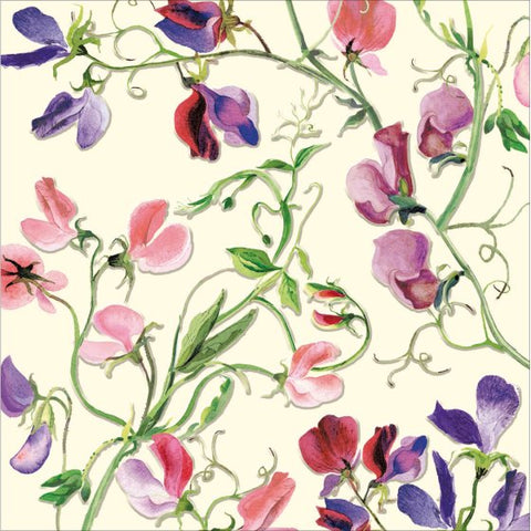 Woodmansterne Sweetpea